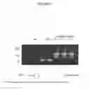 Fig. 08 - Nucleic acid sample preparation methods and compositions