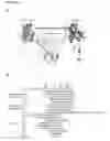 Fig. 02 - Methods and compositions for specific modulation of MCL-1