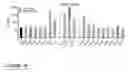 Fig. 09 - Methods and compositions for specific modulation of MCL-1