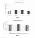 Fig. 05 - Polypeptide having antibacterial activity and angiogenesis-inducing activity and wound-healing drug containing said polypeptide