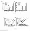 Fig. 08 - MULTIFUNCTIONAL GLYCOPEPTIDE ANTIBIOTIC DERIVATIVES FOR FLUORESCENT IMAGING AND PHOTOACTIVE ANTIMICROBIAL THERAPY