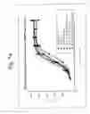 Fig. 11 - GIP receptor-active glucagon compounds