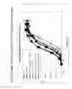 Fig. 19 - GIP receptor-active glucagon compounds