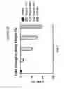 Fig. 53 - GIP receptor-active glucagon compounds