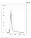 Fig. 12 - PURIFICATION OF ERYTHROPOIETIN