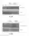 Fig. 15 - Use of HASF as a Protective Agent Against Ischemic Tissue Damage