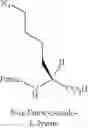 Fig. 70 - Peptidomimetic macrocycles