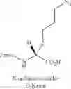 Fig. 71 - Peptidomimetic macrocycles