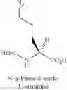 Fig. 74 - Peptidomimetic macrocycles
