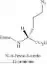 Fig. 75 - Peptidomimetic macrocycles