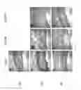 Fig. 10 - SILK FIBROIN HYDROGELS AND USES THEREOF