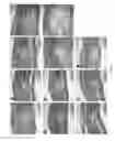 Fig. 13 - SILK FIBROIN HYDROGELS AND USES THEREOF
