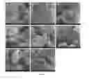 Fig. 17 - SILK FIBROIN HYDROGELS AND USES THEREOF
