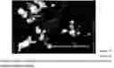 Fig. 05 - PHYTOCHEMICAL COMPOSITIONS INCLUDING XANTHONES FOR ANTI-INFLAMMATORY, ANTI-CYTOKINE STORM, AND OTHER USES