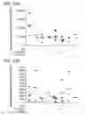 Fig. 13 - Human milk oligosaccharides for modulating inflammation