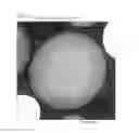 Fig. 11 - Controlled release particles and method for producing the same