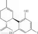 Fig. 23 - ANGIOGENIC RESORCINOL DERIVATIVES
