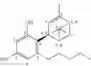 Fig. 46 - ANGIOGENIC RESORCINOL DERIVATIVES