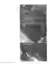 Fig. 07 - INSULIN-PRODUCING CELL INDUCER, GLUCOSE INTAKE ENHANCER, AND THERAPEUTIC AGENT FOR DIABETES OR DIABETES COMPLICATIONS