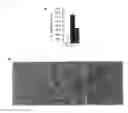 Fig. 08 - INSULIN-PRODUCING CELL INDUCER, GLUCOSE INTAKE ENHANCER, AND THERAPEUTIC AGENT FOR DIABETES OR DIABETES COMPLICATIONS