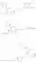 Fig. 542 - Heteroaryls and uses thereof