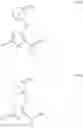 Fig. 616 - Heteroaryls and uses thereof