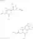 Fig. 09 - Sterol derivative