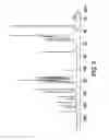 Fig. 06 - Preparation of crystalline forms of dihydropyrazolopyrimidinone