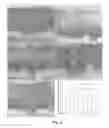 Fig. 08 - COMPOUNDS AND METHODS OF PROMOTING OLIGODENDROCYTE PRECURSOR DIFFERENTIATION