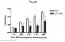 Fig. 06 - AMINE-BASED AND AMIDE-BASED INHIBITORS OF SEMICARBAZIDE-SENSITIVE AMINE OXIDASE (SSAO) ENZYME ACTIVITY AND VAP-1 MEDIATED ADHESION USEFUL FOR TREATMENT OF DISEASES