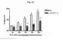 Fig. 07 - AMINE-BASED AND AMIDE-BASED INHIBITORS OF SEMICARBAZIDE-SENSITIVE AMINE OXIDASE (SSAO) ENZYME ACTIVITY AND VAP-1 MEDIATED ADHESION USEFUL FOR TREATMENT OF DISEASES