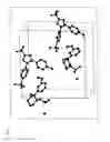Fig. 05 - Co-crystals of tramadol and coxibs