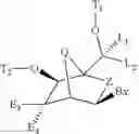 Fig. 06 - Bicyclic cyclohexose nucleic acid analogs
