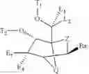 Fig. 07 - Bicyclic cyclohexose nucleic acid analogs