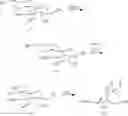Fig. 30 - Bicyclic cyclohexose nucleic acid analogs