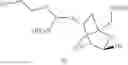Fig. 32 - Bicyclic cyclohexose nucleic acid analogs
