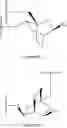 Fig. 35 - Bicyclic cyclohexose nucleic acid analogs