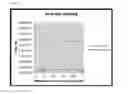 Fig. 02 - Compositions and methods for treating herpes simplex virus