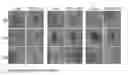Fig. 01 - COMPOSITION COMPRISING VITAMIN U AS ACTIVE INGREDIENT FOR HEALING SKIN WOUND