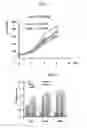 Fig. 02 - COMPOSITION COMPRISING VITAMIN U AS ACTIVE INGREDIENT FOR HEALING SKIN WOUND