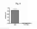 Fig. 06 - COMPOSITION COMPRISING VITAMIN U AS ACTIVE INGREDIENT FOR HEALING SKIN WOUND