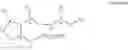 Fig. 02 - USE OF JASMONATE FOR IMPROVING SKELETAL MUSCLE FUNCTION