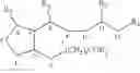 Fig. 03 - USE OF JASMONATE FOR IMPROVING SKELETAL MUSCLE FUNCTION