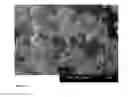 Fig. 02 - Cleaning liquid