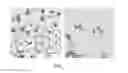 Fig. 05 - DENTAL COMPOSITIONS WITH TITANIUM DIOXIDE NANOPARTICLES