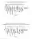 Fig. 02 - One-component self-etching adhesive