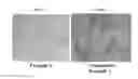 Fig. 07 - Acrylic fine particles and diffusing film including the same