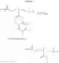 Fig. 134 - POLYMERS BEARING PENDANT PENTAFLUOROPHENYL ESTER GROUPS, AND METHODS OF SYNTHESIS AND FUNCTIONALIZATION THEREOF