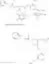 Fig. 137 - POLYMERS BEARING PENDANT PENTAFLUOROPHENYL ESTER GROUPS, AND METHODS OF SYNTHESIS AND FUNCTIONALIZATION THEREOF