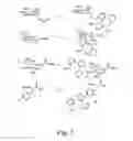Fig. 04 - ALKYNES AND METHODS OF REACTING ALKYNES WITH 1,3-DIPOLE-FUNCTIONAL COMPOUNDS